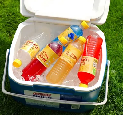 Case of 32 bottles of Jay Refresh lemonade. Assortment: 7 bottles of the original, strawberry: 7, blue raspberry: 6, watermelon: 6, and 6 premium lych